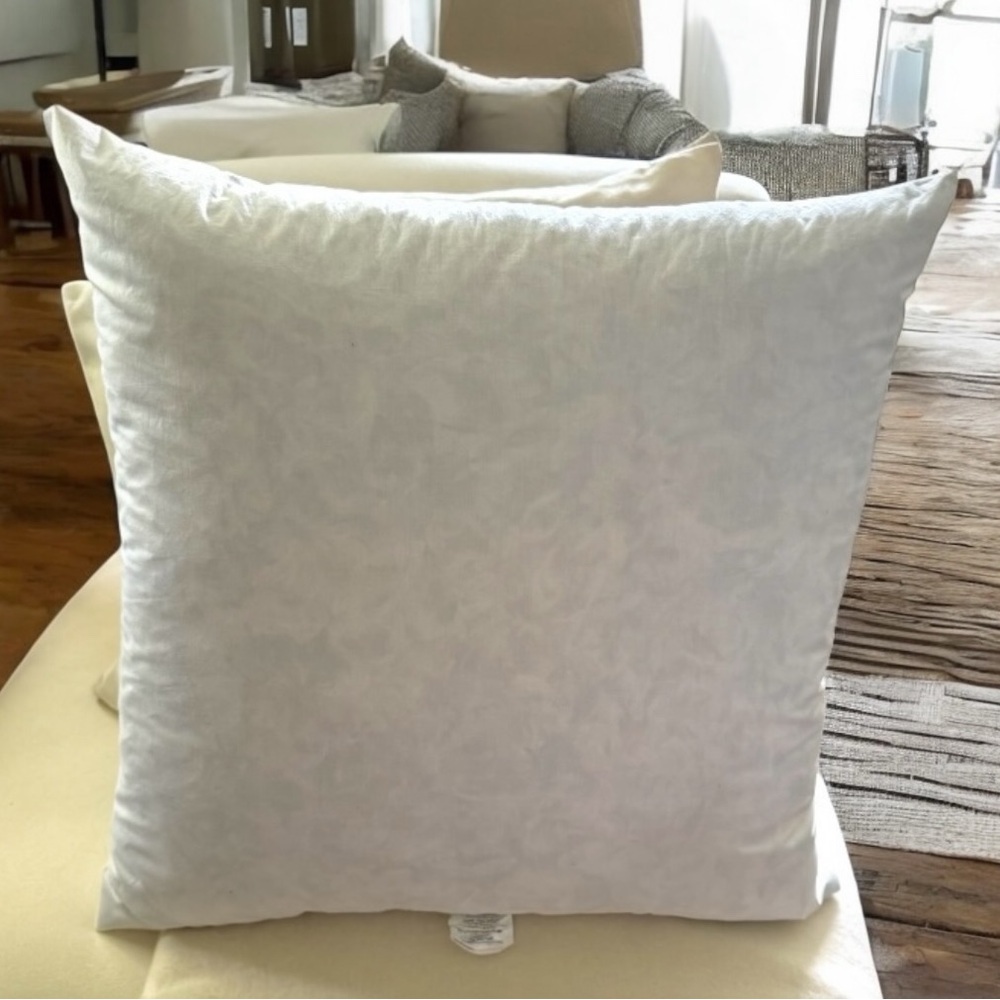 QUALITY DOWN & FIBERS, INC. White Down Pillow Inserts 26x26 EURO